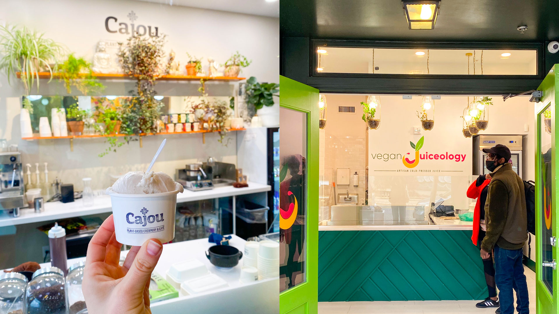 Cajou Creamery and Vegan Juiceology located on the 400 block of Howard street in Baltimore.