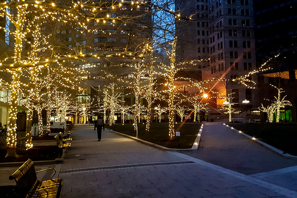 Holiday lights strung on the trees of Center Plaza in Downtown Baltimore.