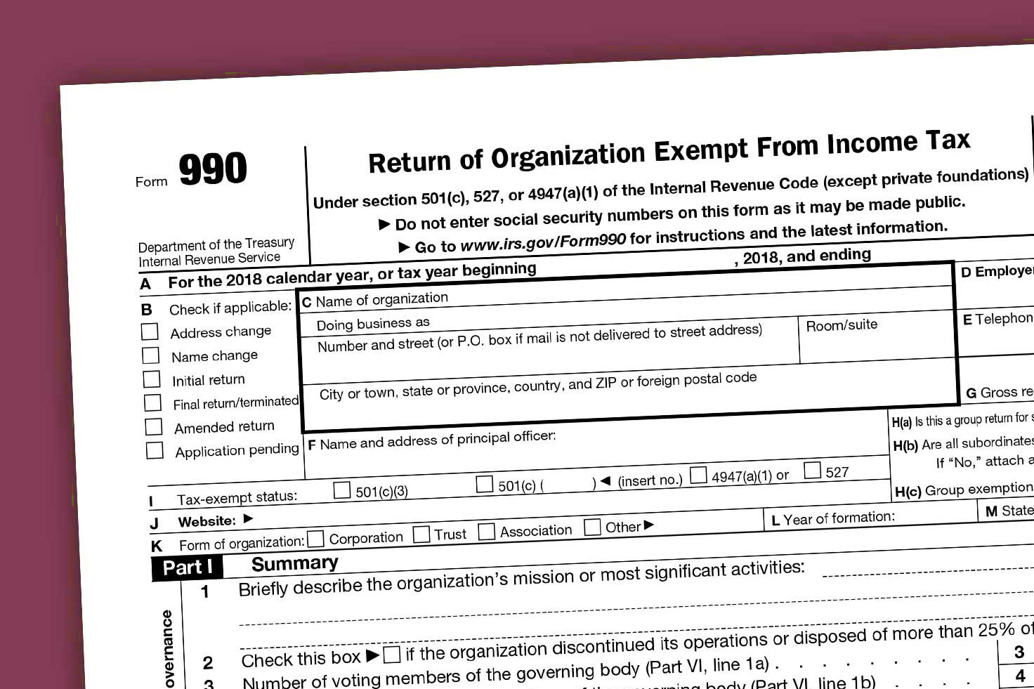 Form 990 Thumbnail - pink background.