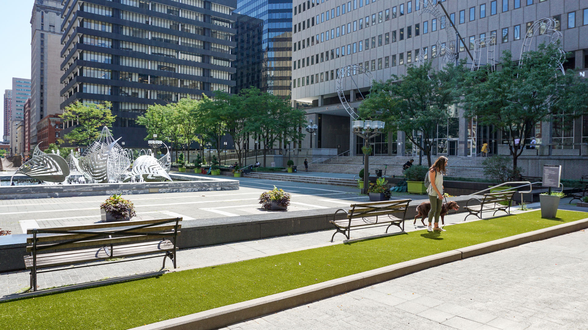 Wide angle view of Downtown Baltimore's Hopkins Plaza. Woman walking her chocolate lab on the grass dog run area, fountain and sculpture in background.