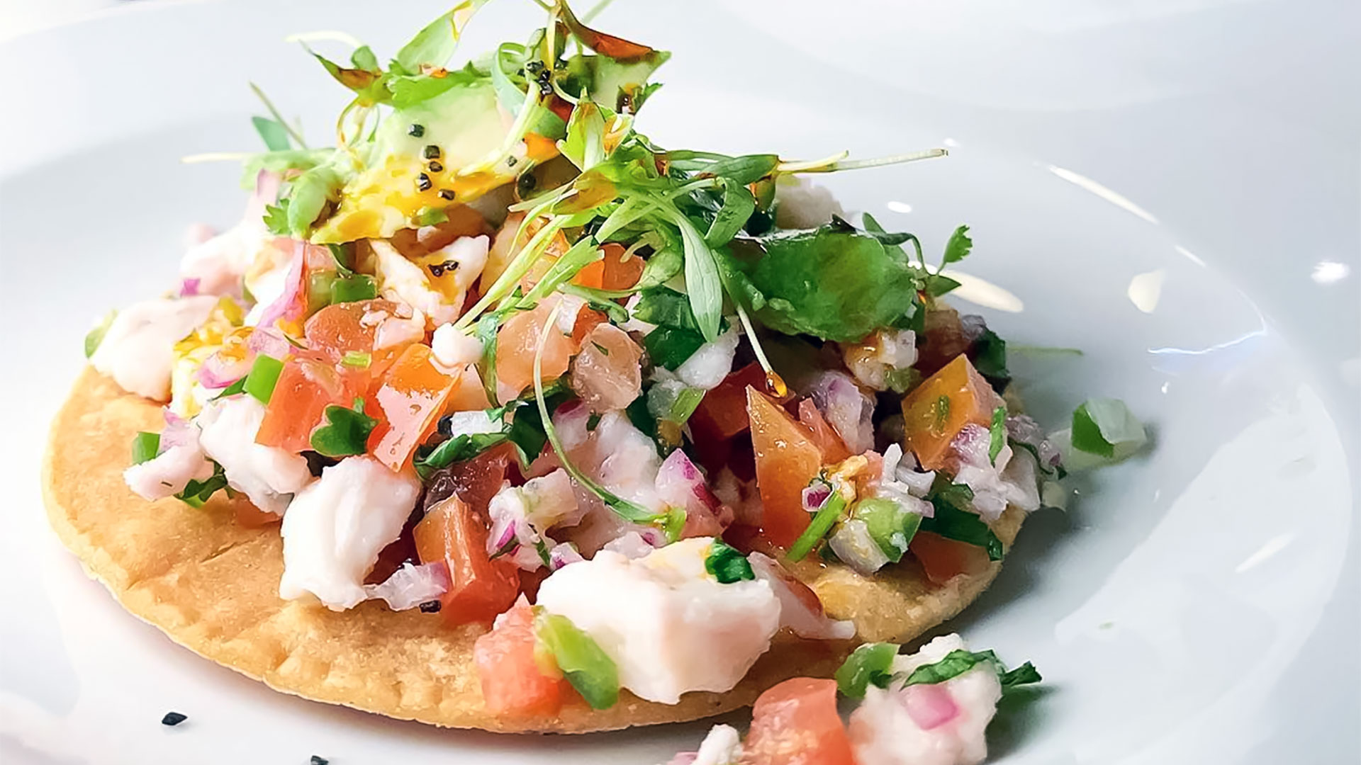 Colorful ceviche tostada on white plate from La Calle in Baltimore.