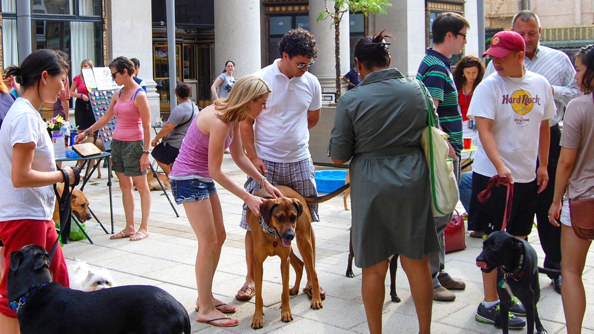 Baltimore City residents with dogs congregate and chat during dog-friendly happy hour event in Downtown Baltimore park space.
